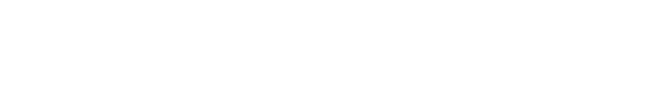 MECCANICA logo